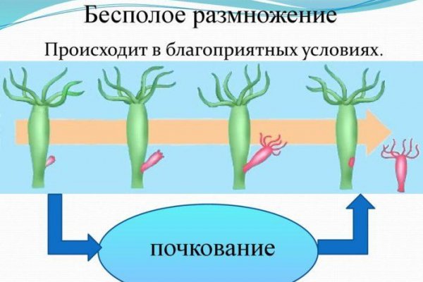 Кракен оренбург официальный